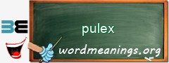 WordMeaning blackboard for pulex